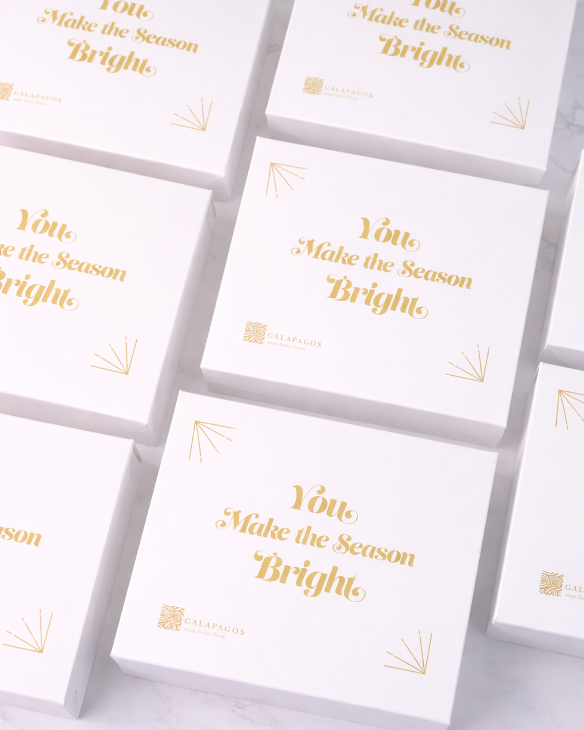 White cards with gold text 'You Make the Season Bright' on a light gray background
